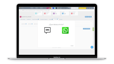 Software de gestion de despachos